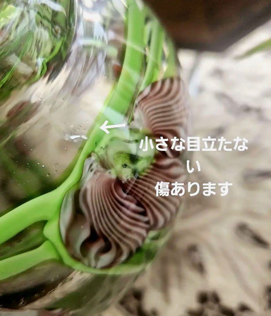 アメリカ　Orient & Flume Art Glass　フラワーベース