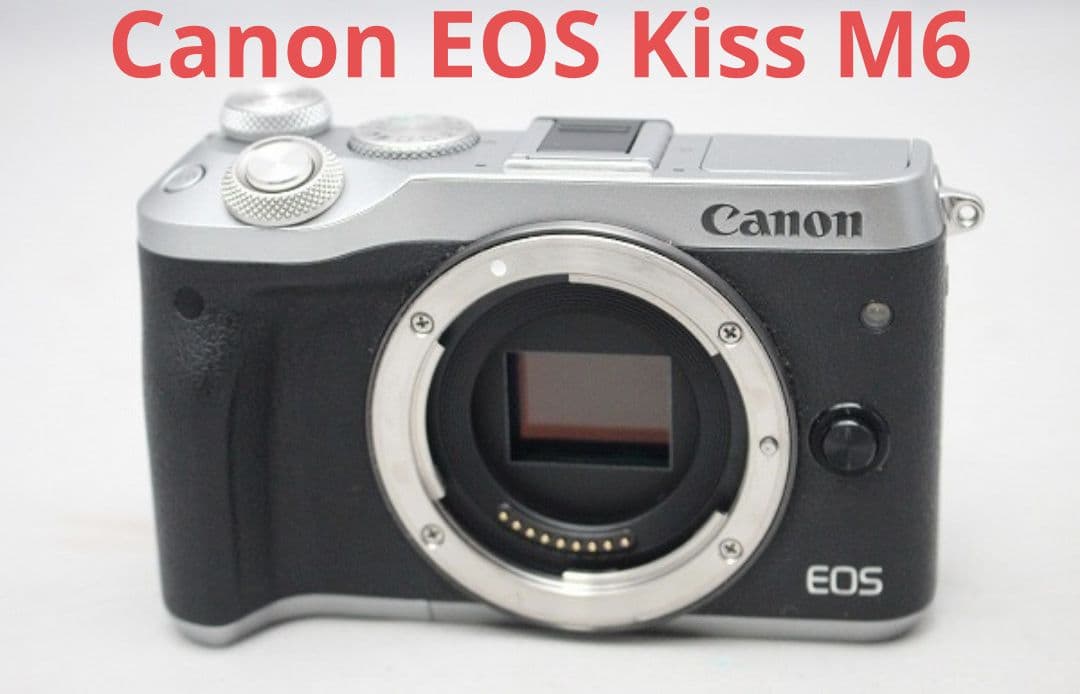 1月7日限定価格♪Canon キャノン EOS M6 ミラーレス ボディ本体