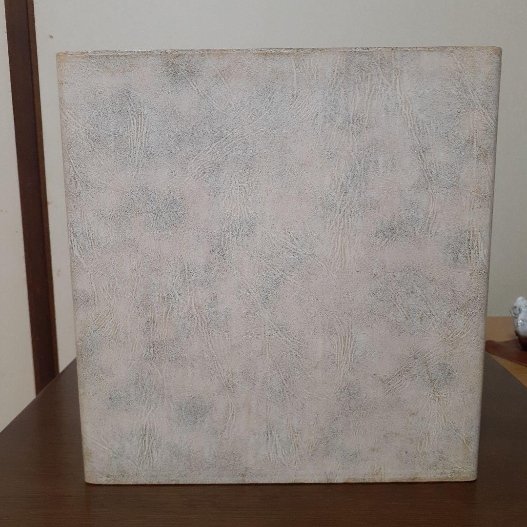 FRS【即購入可】になります。