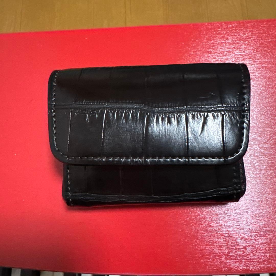 ワイルドスワンズ　　クロコ　アーサー