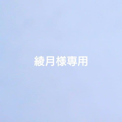 綾月 imda3.0 カウチソファ