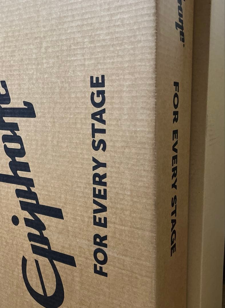 りん　ぼっち・ざ・ろっく！　レスポール・カスタム