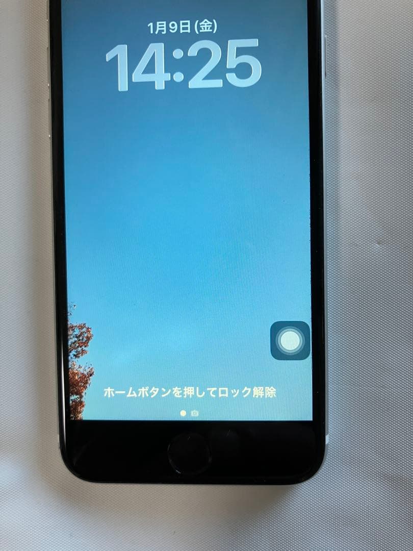 (値下げ) Apple iPhone SE第2世代　ホワイト