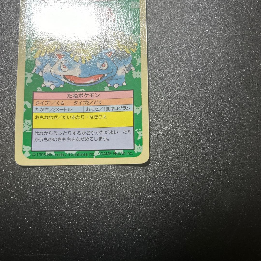 ポケモンカードゲーム フシギソウ フシギダネ 旧裏 トップサン エラー