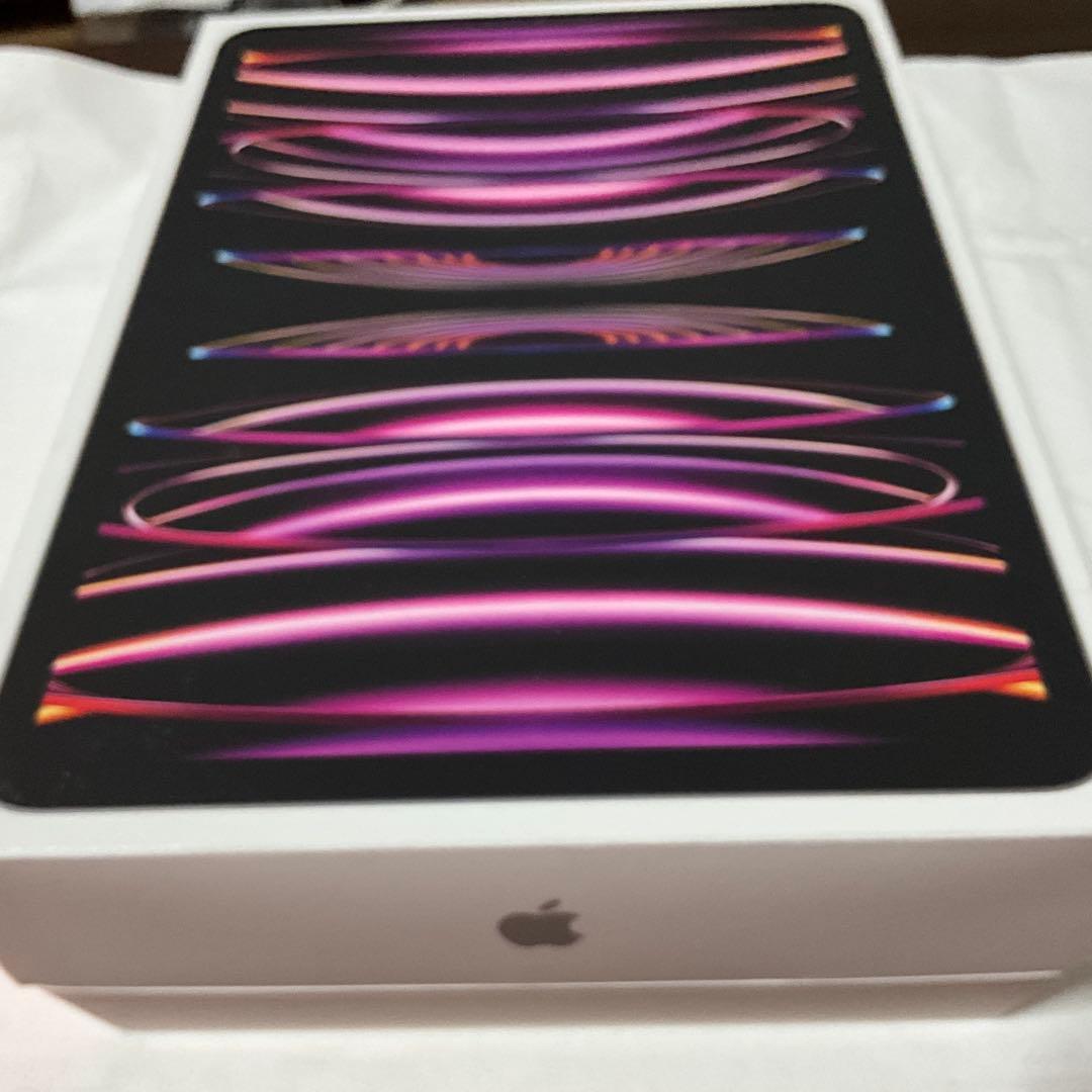 iPad Pro 11inch Cellular 256GB ペン付