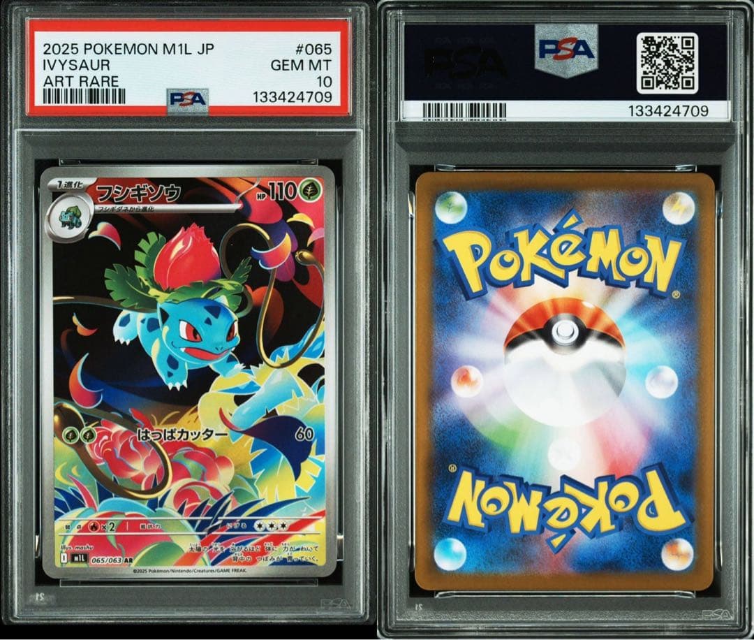 ポケモンカード フシギソウ フシギダネ フシギバナ psa10 3連番