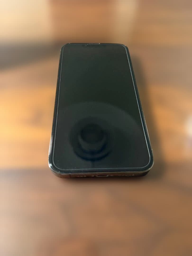 【美品】iPhone 13 Pro 256GB グラファイト SIMフリー