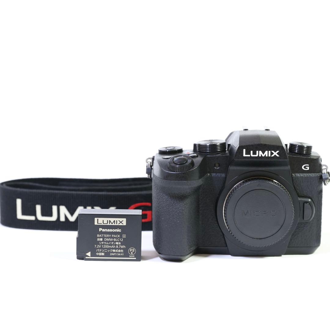 ★シャッター3000回　Panasonic LUMIX G99 少し訳あり