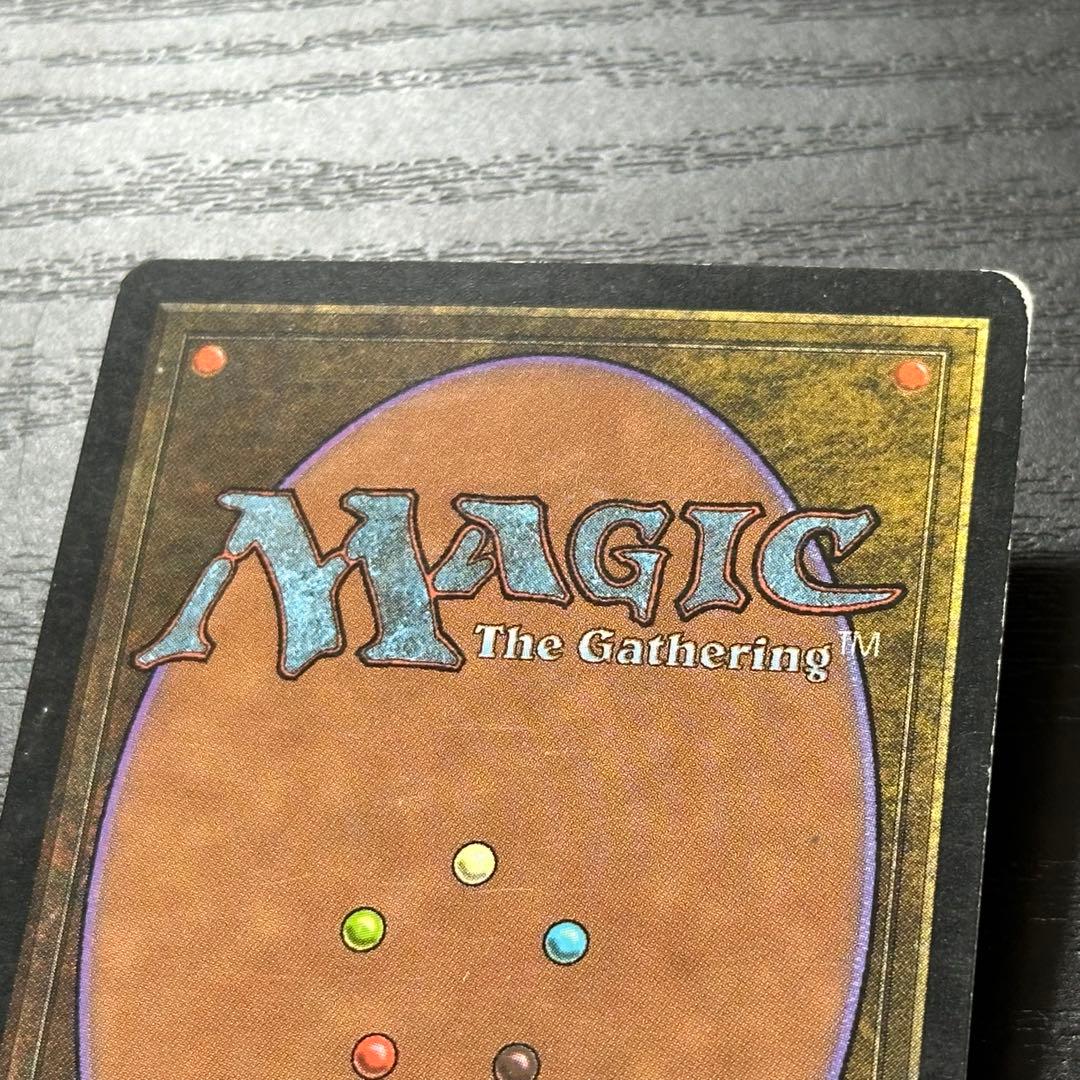 MTG 不毛の大地 日本語 初版 4枚