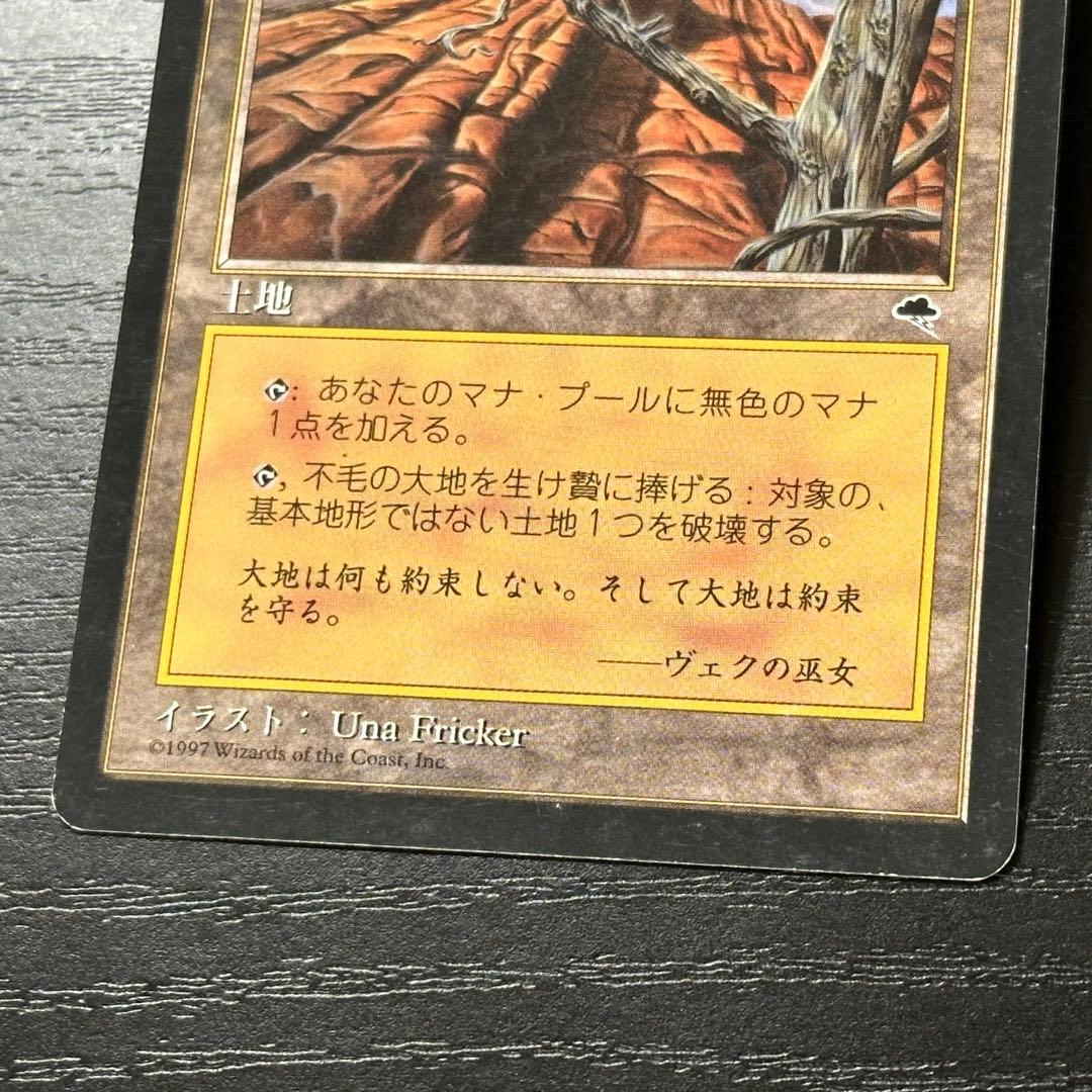MTG 不毛の大地 日本語 初版 4枚