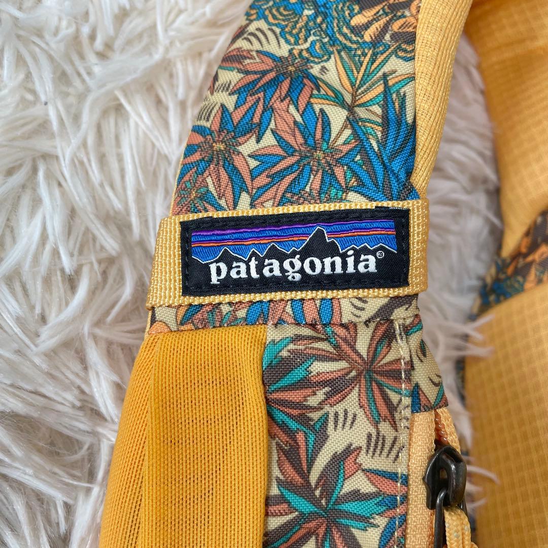 【廃盤カラー】パタゴニア　ボディバッグ　ショルダーバッグ　アトムスリング y2k