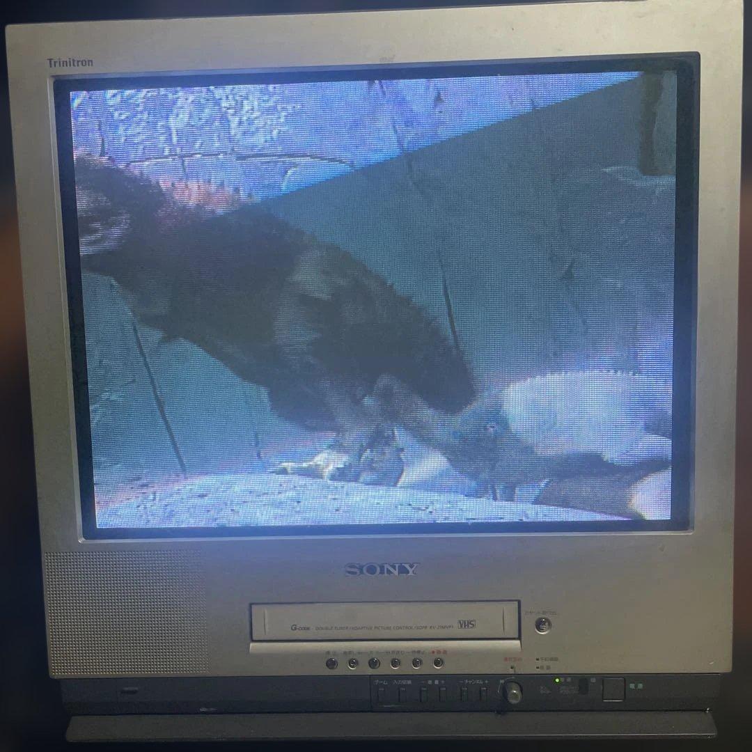 SONY KV-21MVF1 ブラウン管テレビ トリニトロン