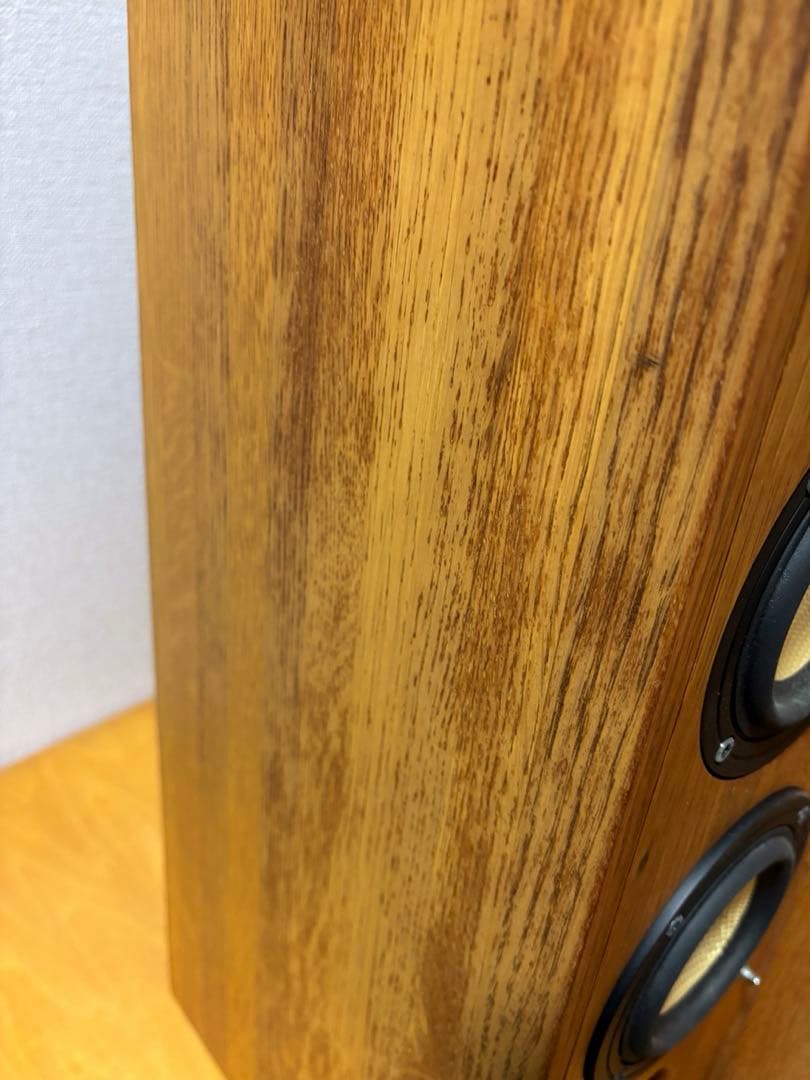 PIONEER S-PM300 ピュアモルトスピーカー