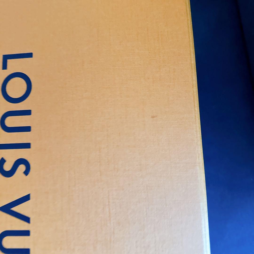 ルイ・ヴィトン　空箱８個　保存袋12個　リボン5点　合計25点セット① まとめ売