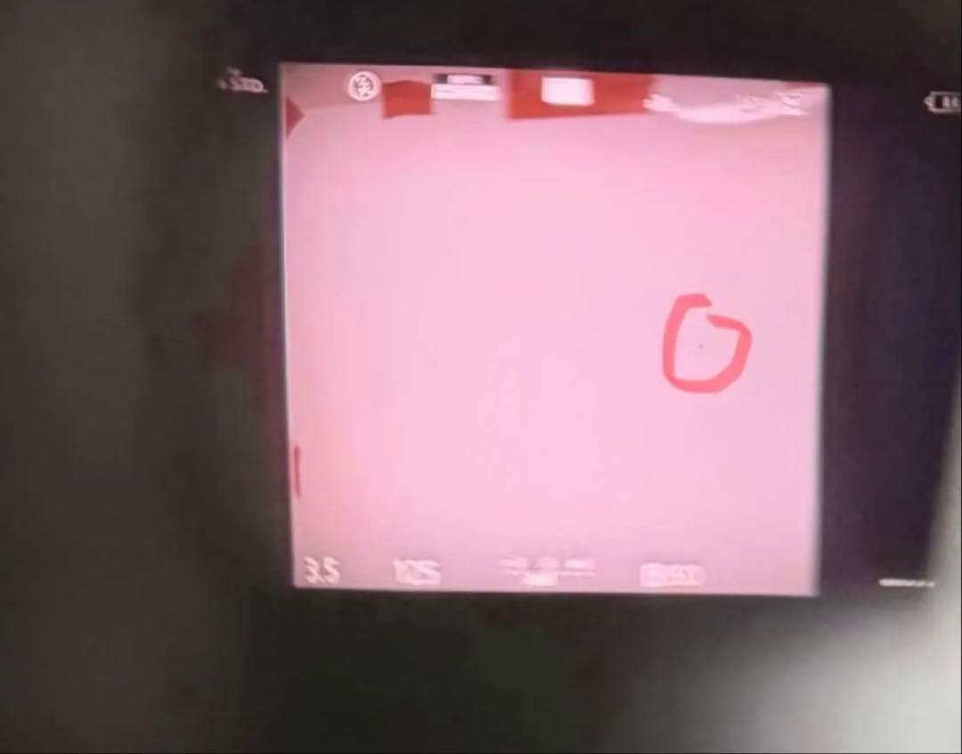 ライカ leica typ109 D-LUX 純正ストロボ付き