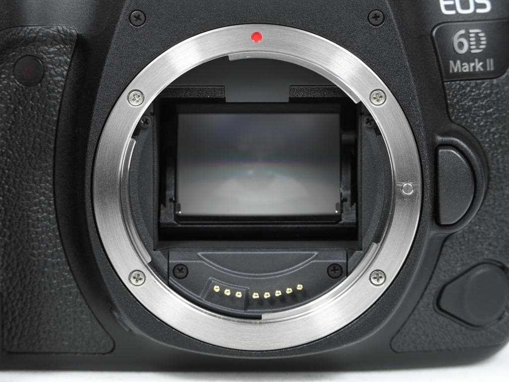 【ほぼ新品】キヤノン EOS 6D Mark II ボディ《ショット数1060》