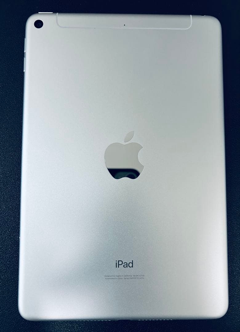 盛*翔様 iPad mini 第5世代 256GB セルラーモデル