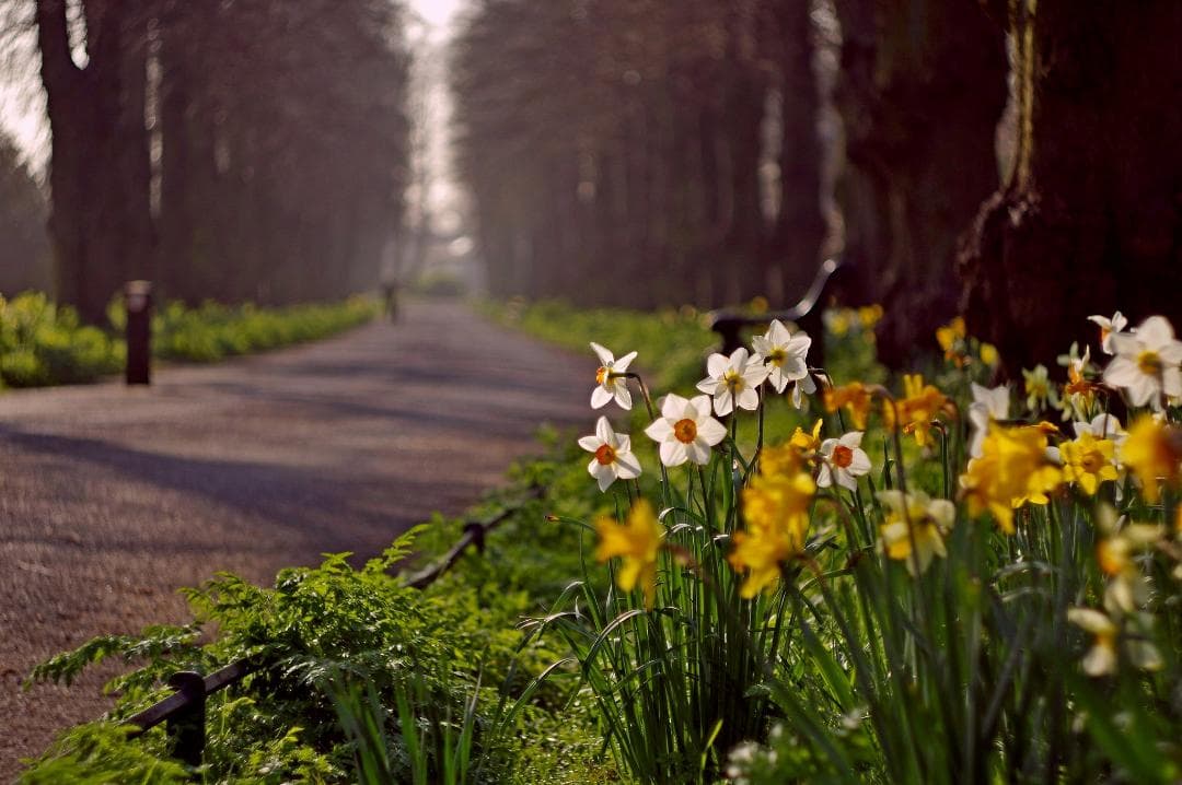 32　初期型　Helios44-2 　新品同様　ヘリオス