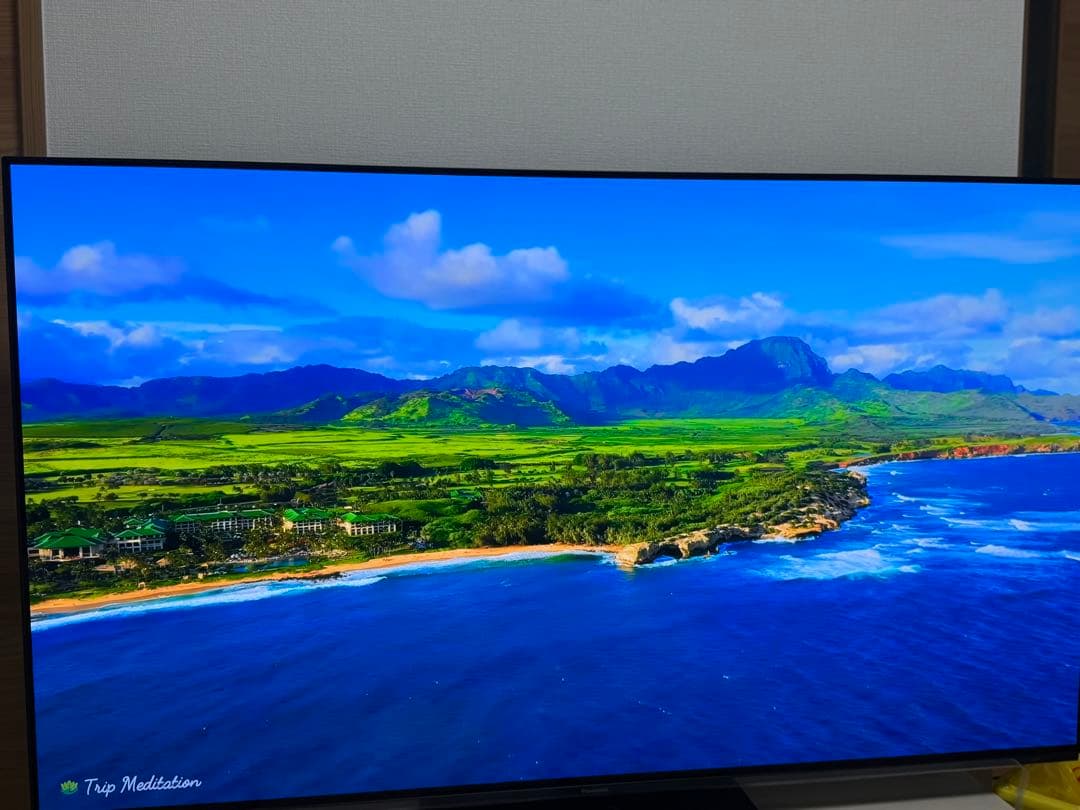 パナソニック 有機ELテレビ TH-55LZ1800 保証書付き2023年製