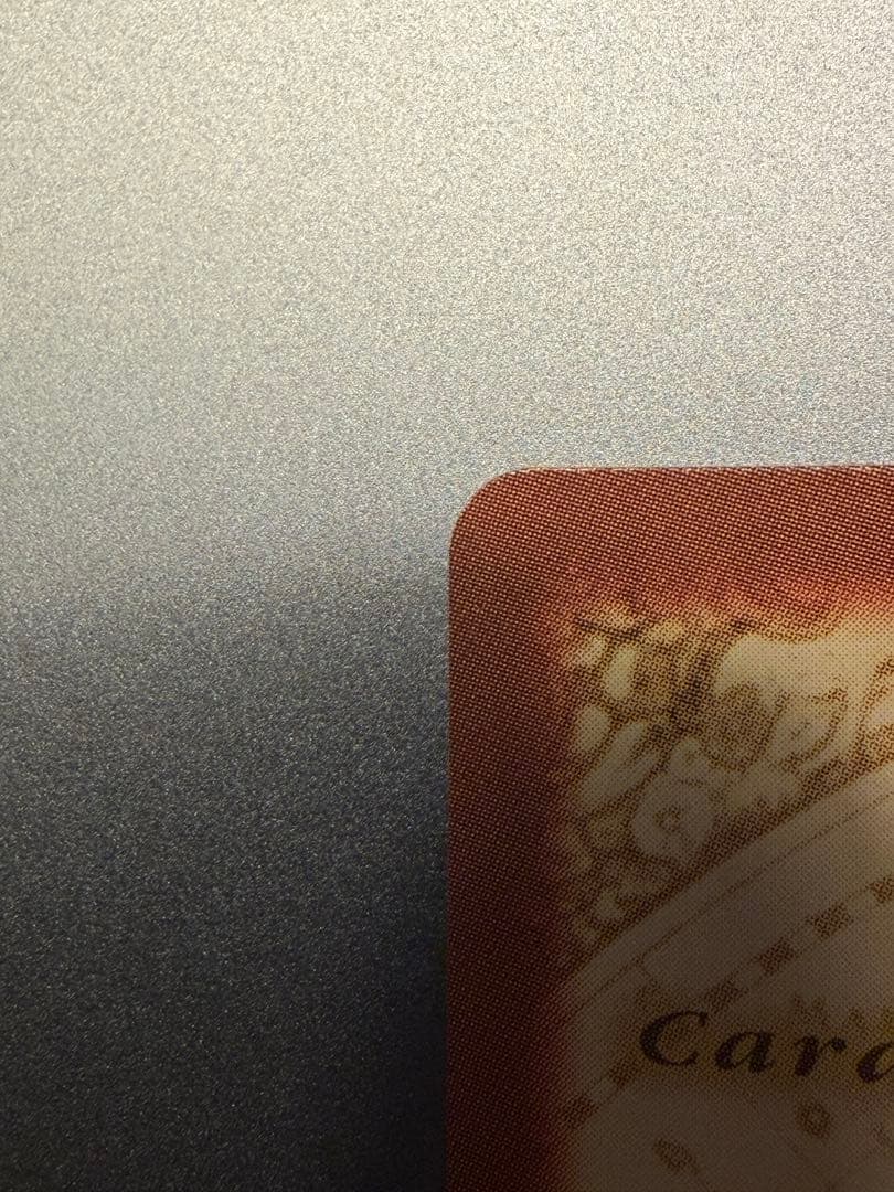 ルフィ海賊団 花火見物 S101 ワンピース　カードダス