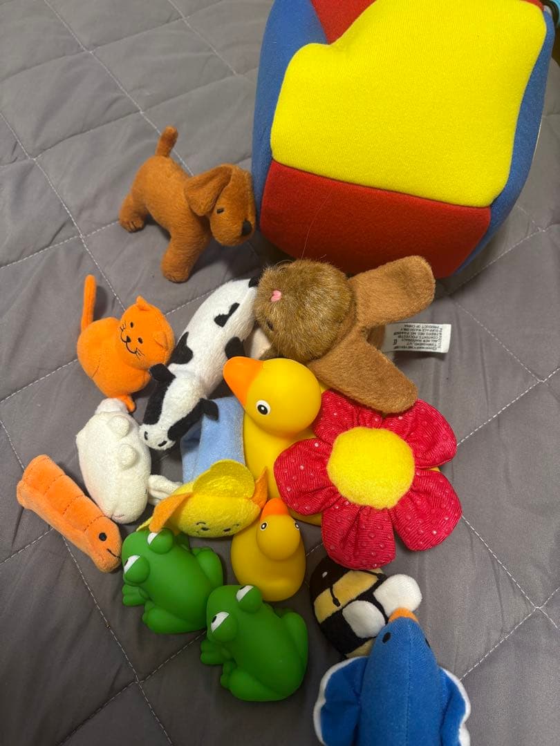 DWEシングアロング