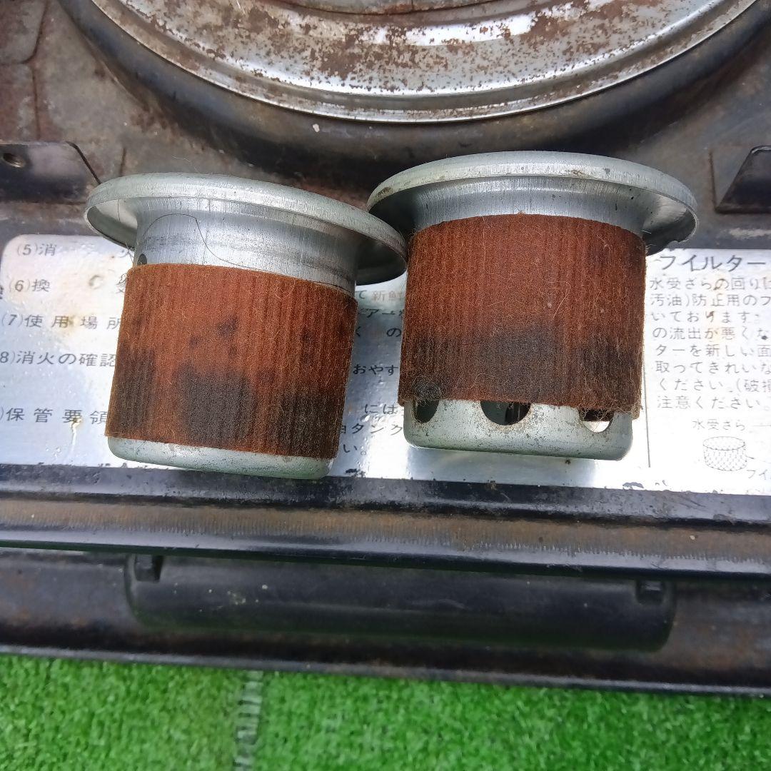 アラジン シルバー クイーン Aladdin Silver Queen