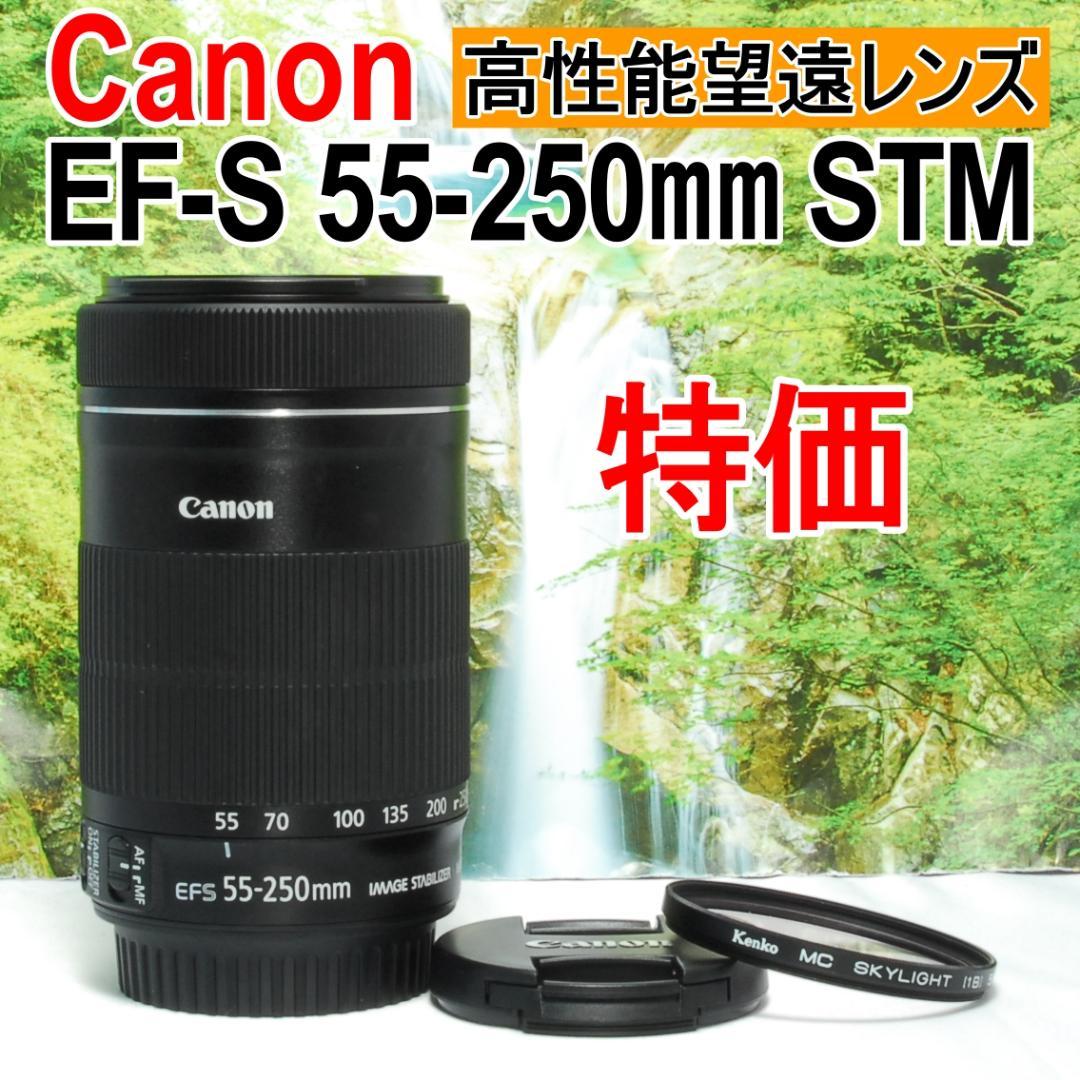 ✨高性能な望遠レンズ✨Canon EF-S 55-250㎜ IS STM✨静音✨