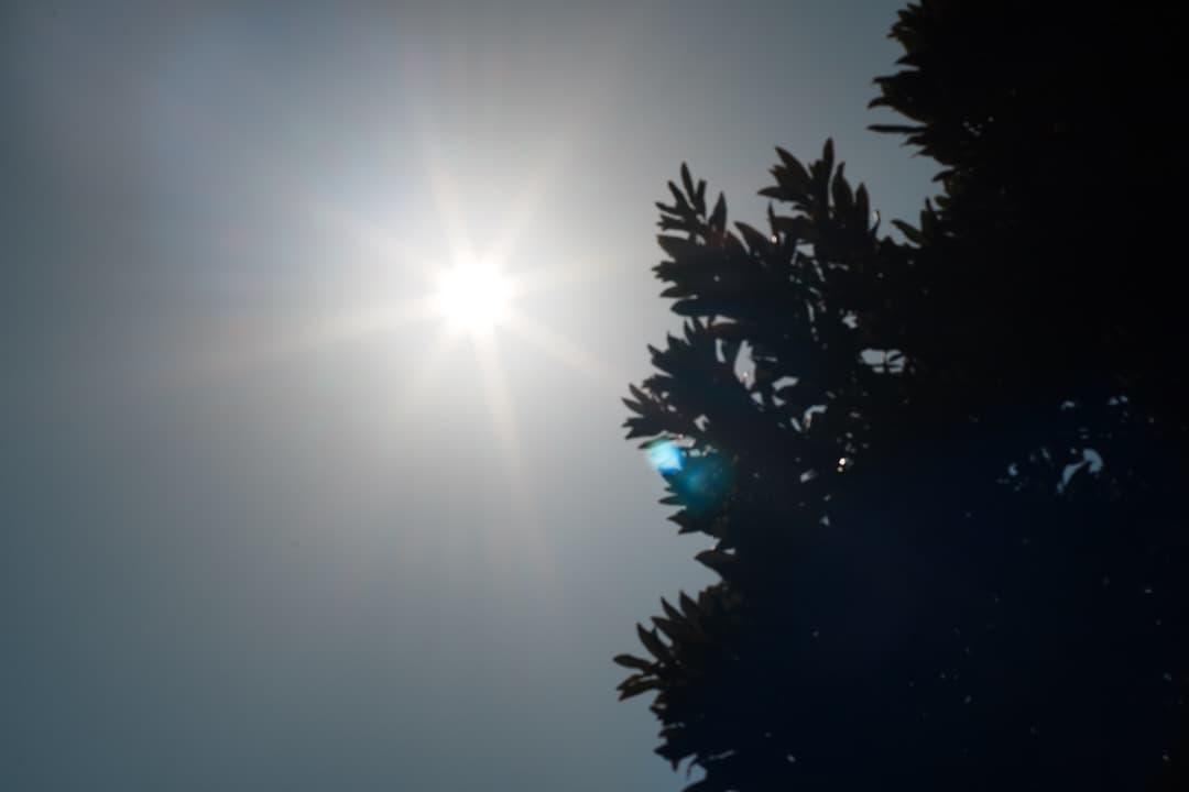 【極美品】Carl Zeiss Planar 85mm F1.4 MMJ 110