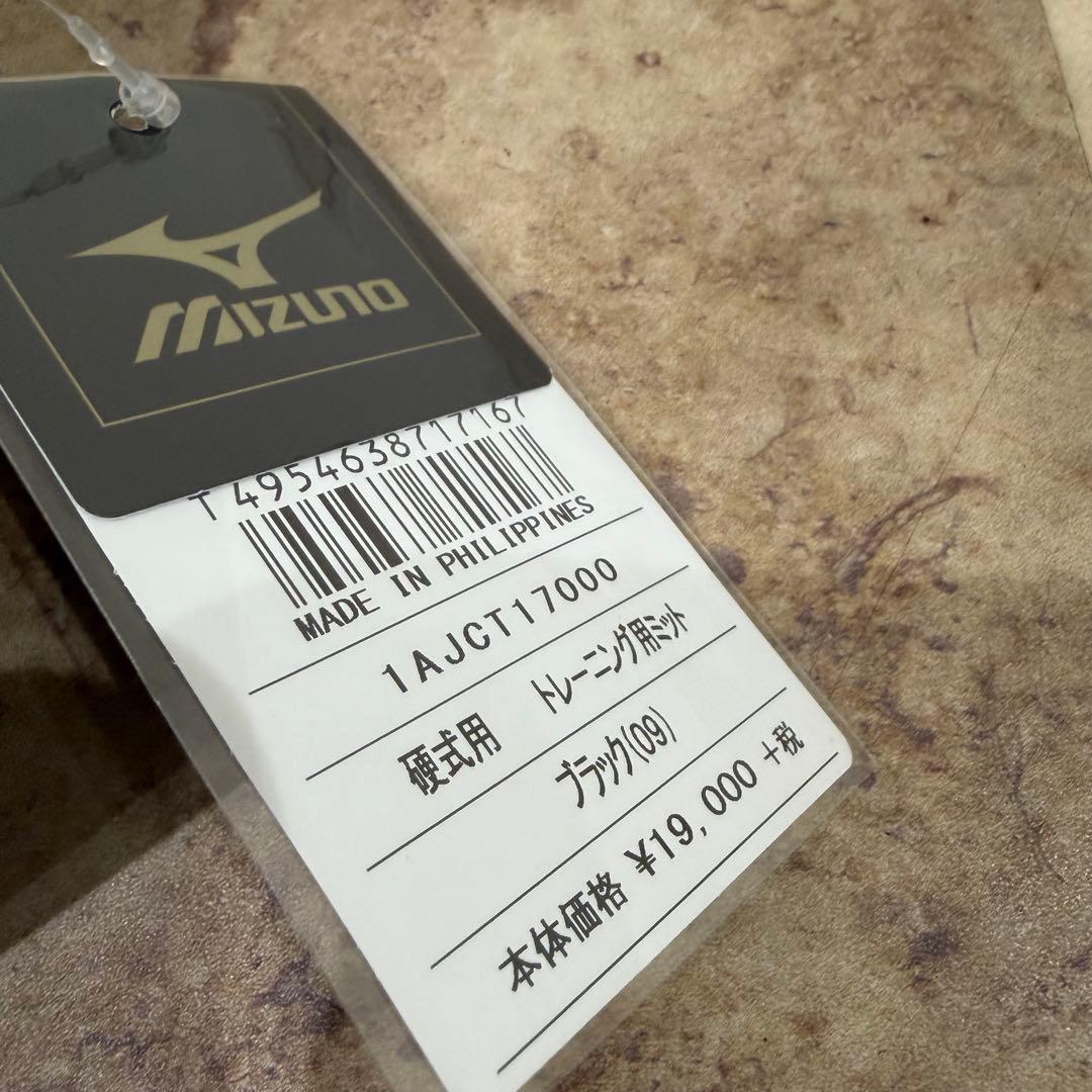 ミズノ MIZUNO キャッチャーミット グローブ グラブ 硬式 トレーニング
