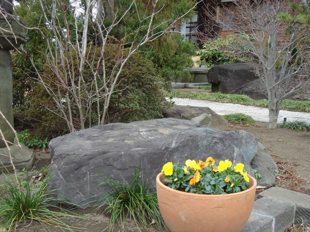 実写美⭕️【動作確認済】SONY Cyber-shot DSC-T5