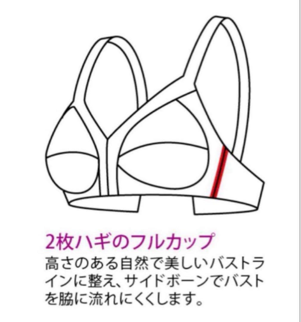 龍　シャルレ　ドゥヴァンナ　ブラ　F70 2枚