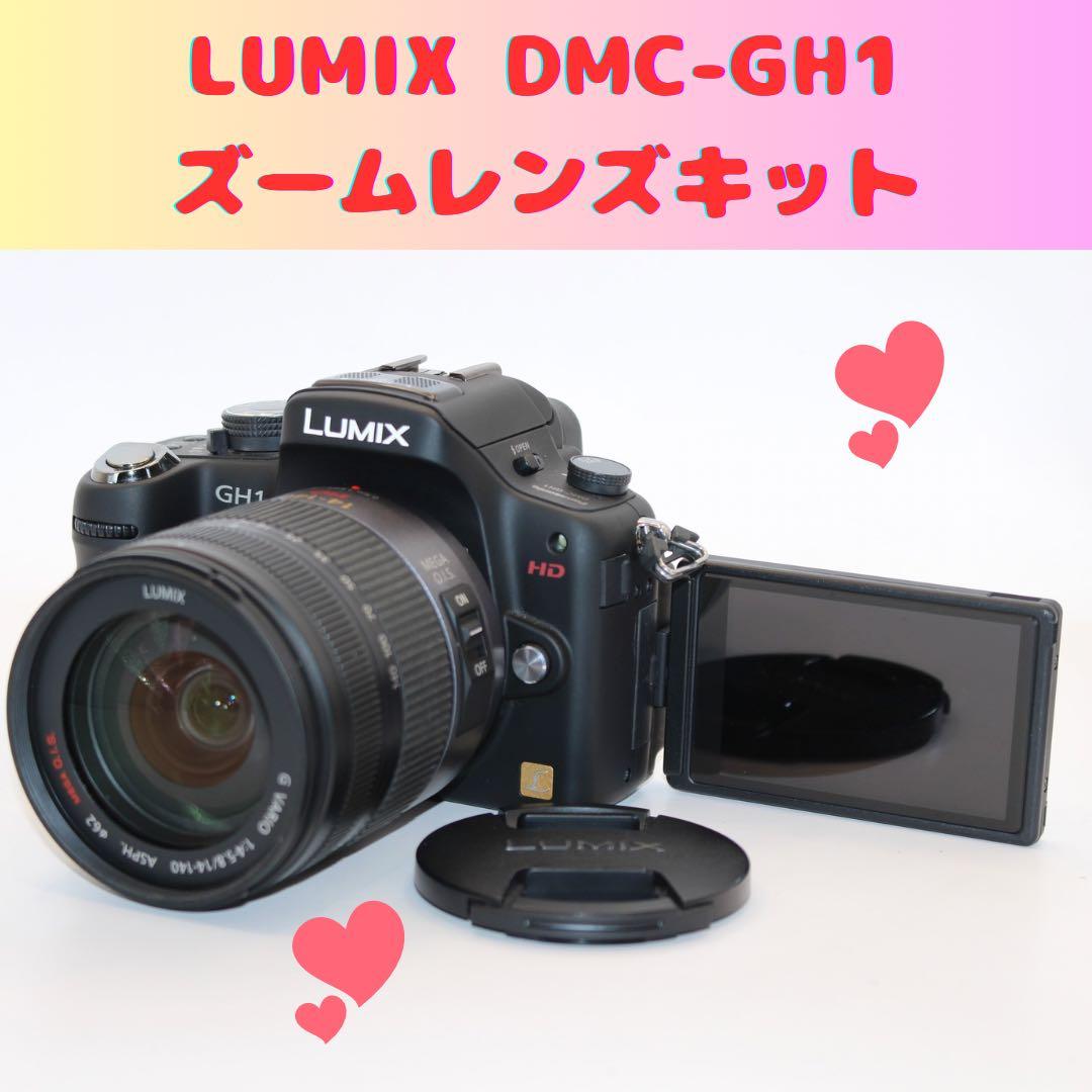 ★ショット数3993回★ LUMIX DMC-GH1 レンズキット　ミラーレス