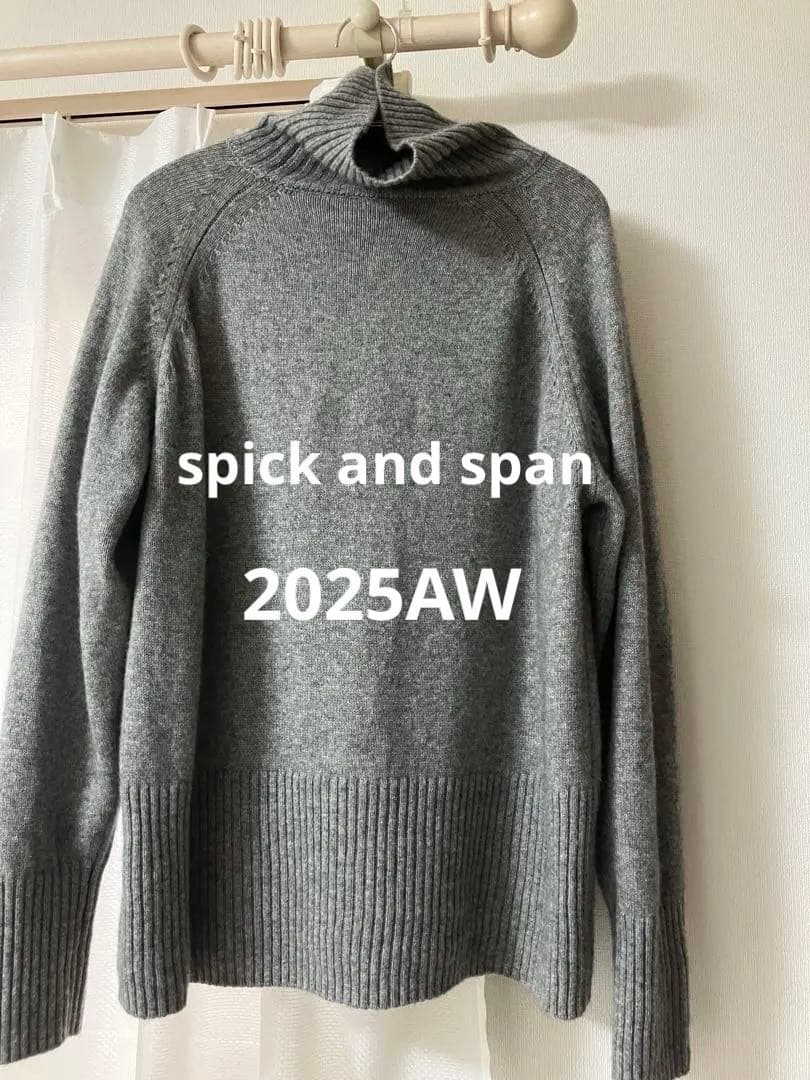 spick and span ラグランタートルニット