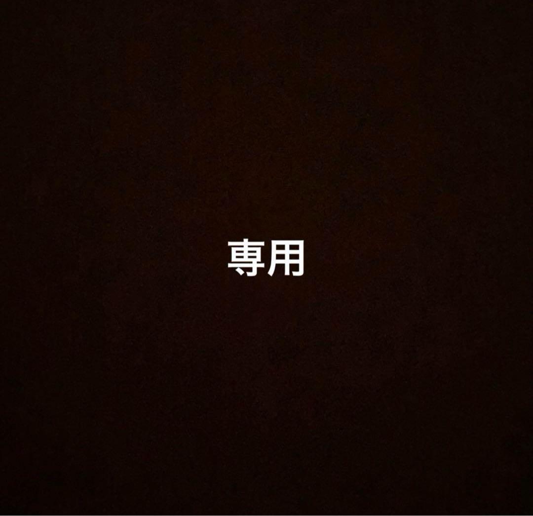 専用ベネズエラボリバルセット