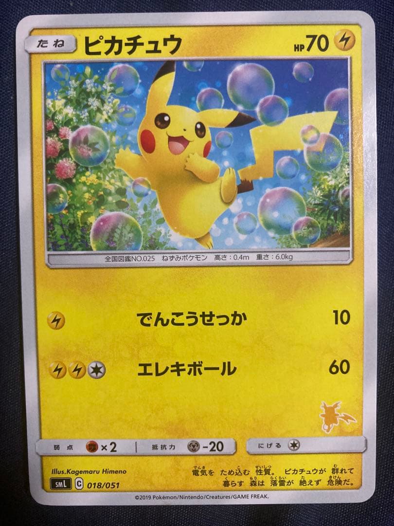 ファミリーポケモンカードゲーム