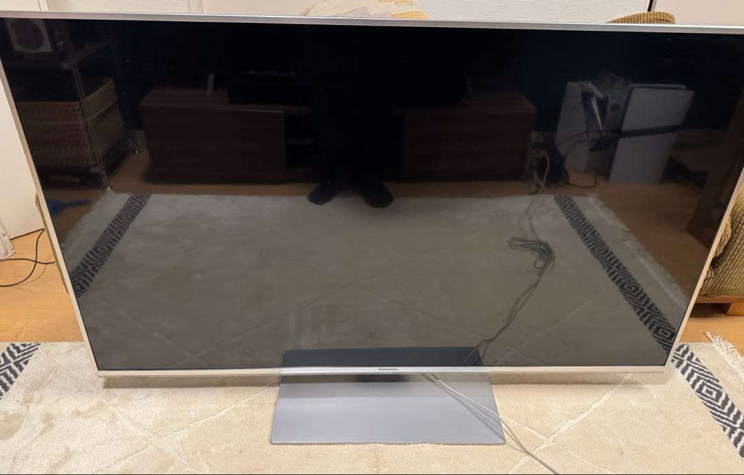 G953 パナソニック 55V型 液晶テレビ ビエラTH-L55DT60