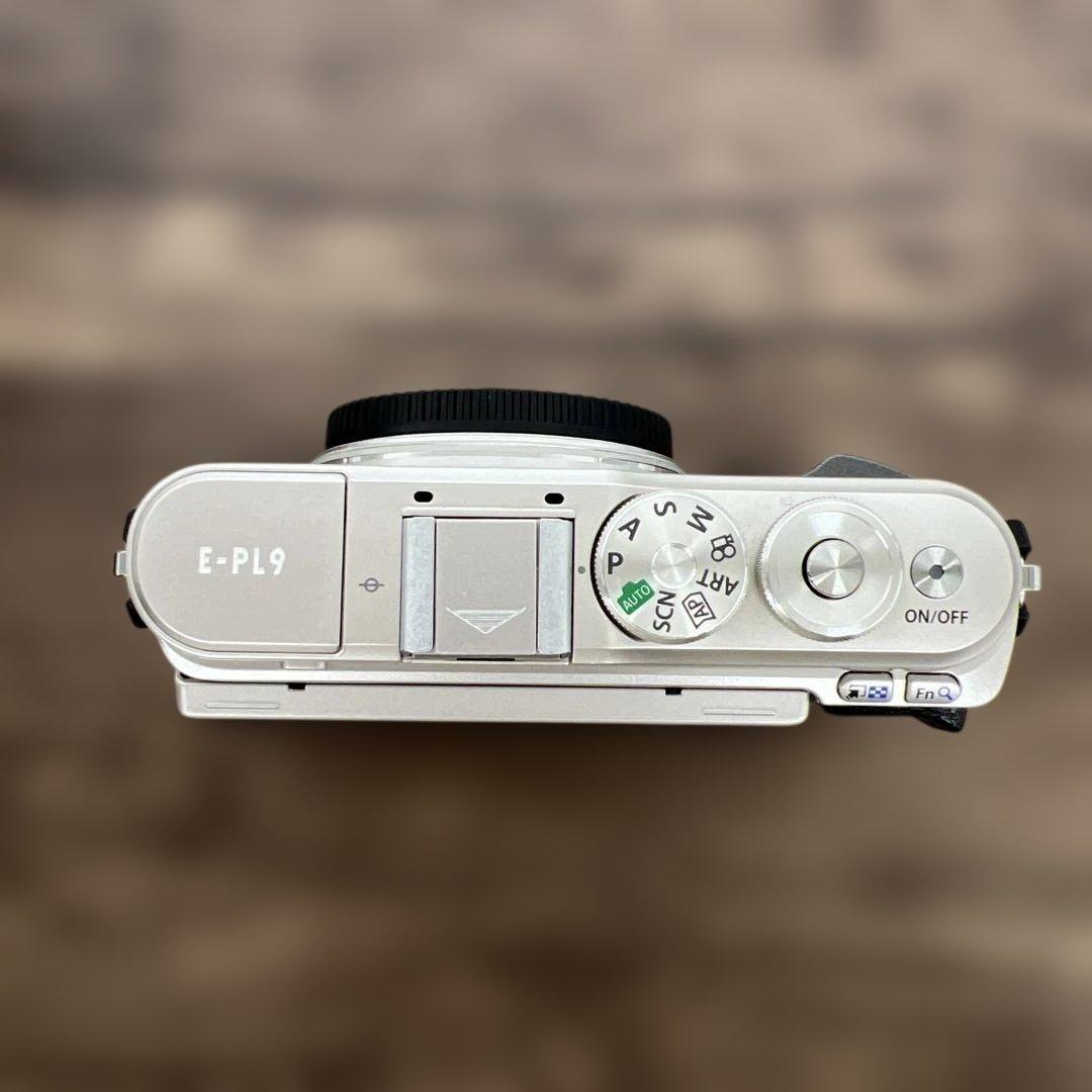 261189OLYMPUS ミラーレス一眼 PEN E-PL9 ボディー