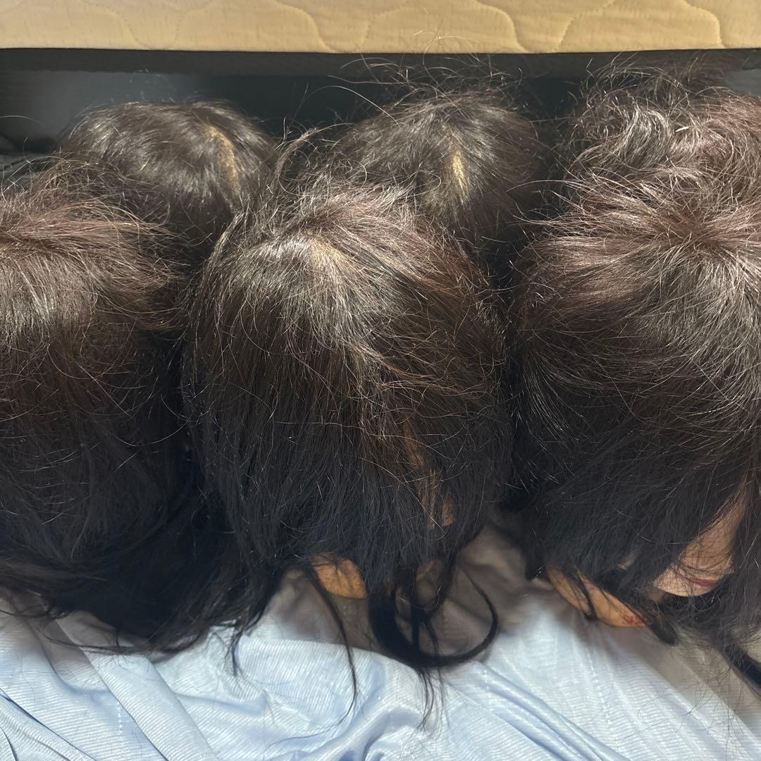 新品未使用！ 国家試験練習用カットウィッグ！　6台！