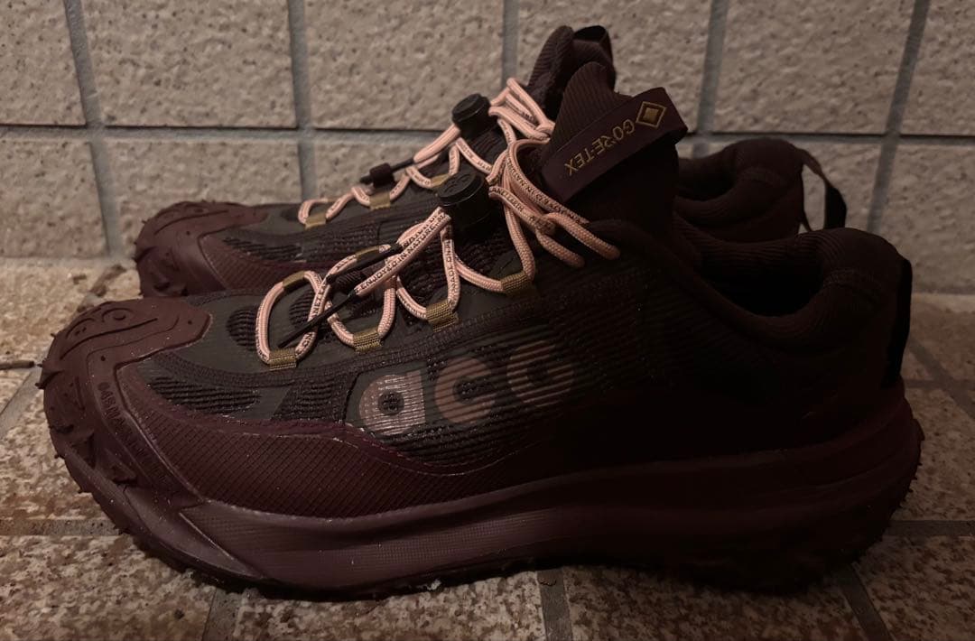 靴 NIKE ACG MOUNTAIN FLY 2 LOW GTX