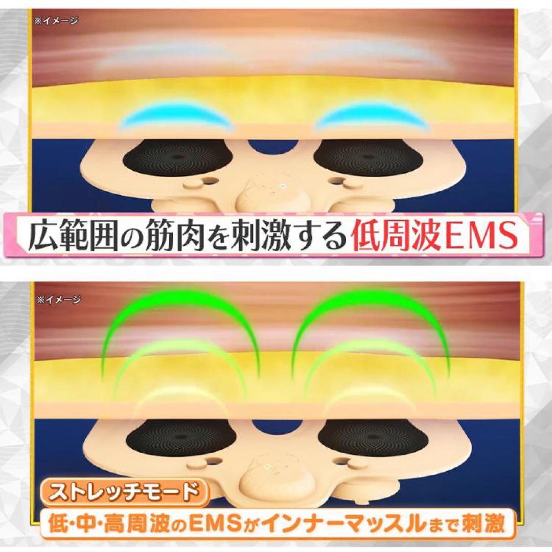 【未使用】ヤーマン 家庭用美容器 ミーゼ スパトレーナー MS-60N