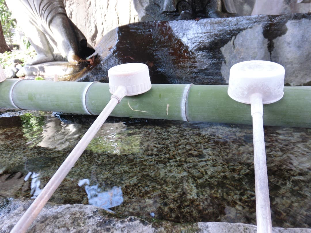 実写美⭕️【動作確認済】カシオ　 CASIO EXILIM EX-ZR10