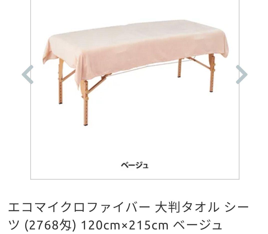 プロズビ マッサージノイル　NOIL(ノイル) 無香 4L　他タオルセット