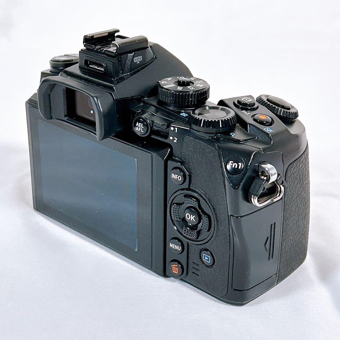 【良品】 OLYMPUS OM-D ミラーレス一眼 E-M1 ボディ