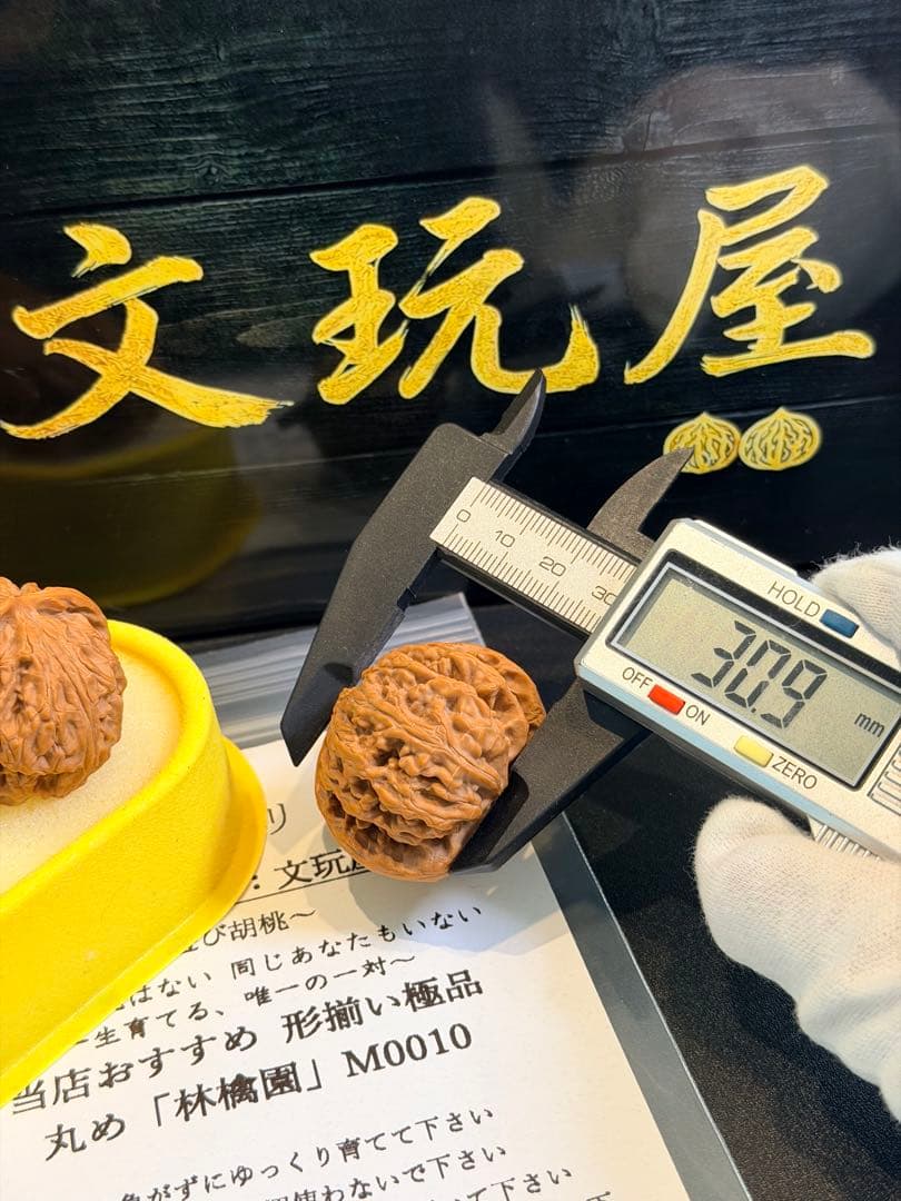 遊び胡桃 林檎園 M0010 形揃いの極品 コレクション 文玩