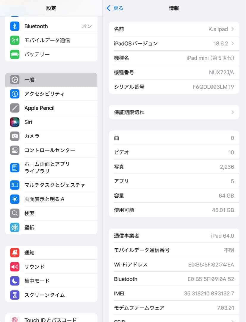 Apple iPad mini第５世代64GBバッテリー85%セルラーモデル
