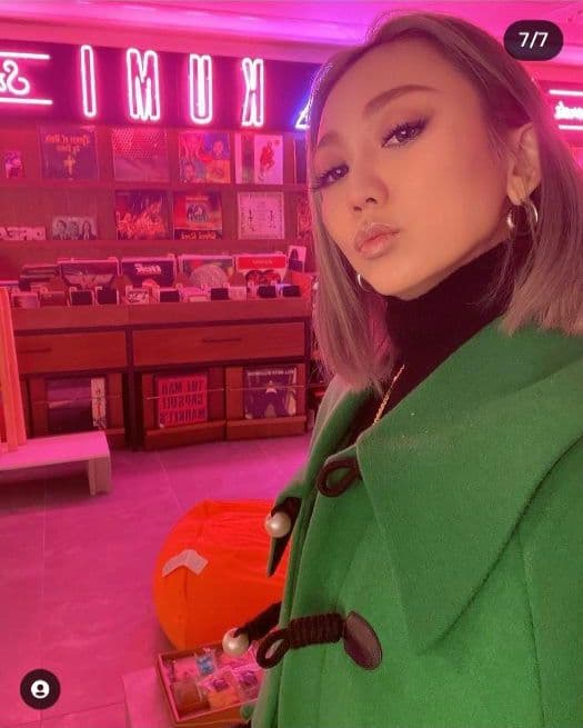 倖田來未着用パメオポーズダッフルコート