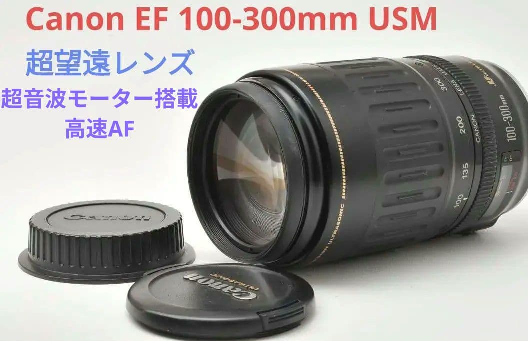 4月15日限定【超望遠レンズ】Canon EF 75-300mm Ⅱ USM