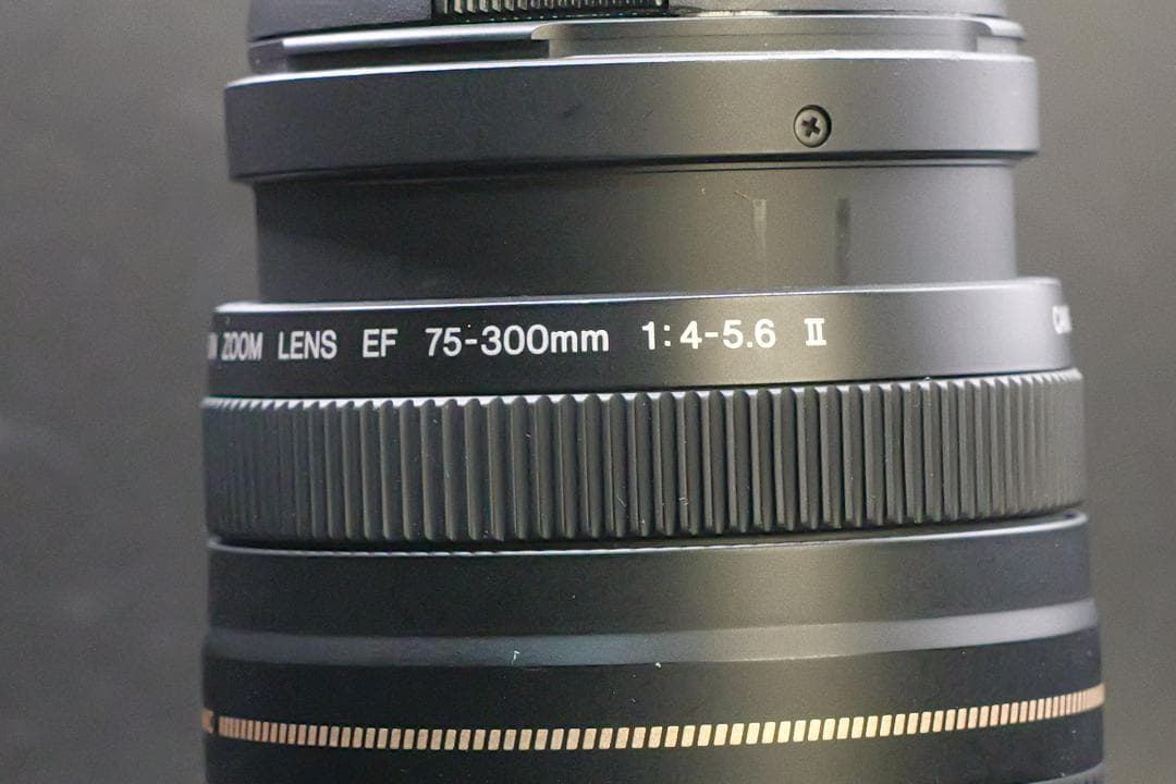 ★極美品望遠レンズ★ Canon EF 75-300mm 発表会 運動会用