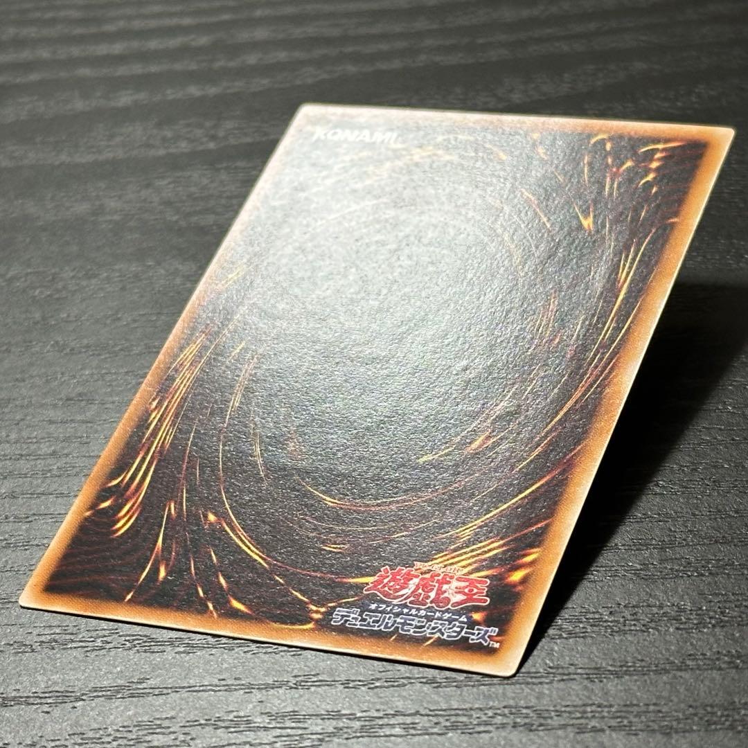 遊戯王 ブラックパラディン レリーフ