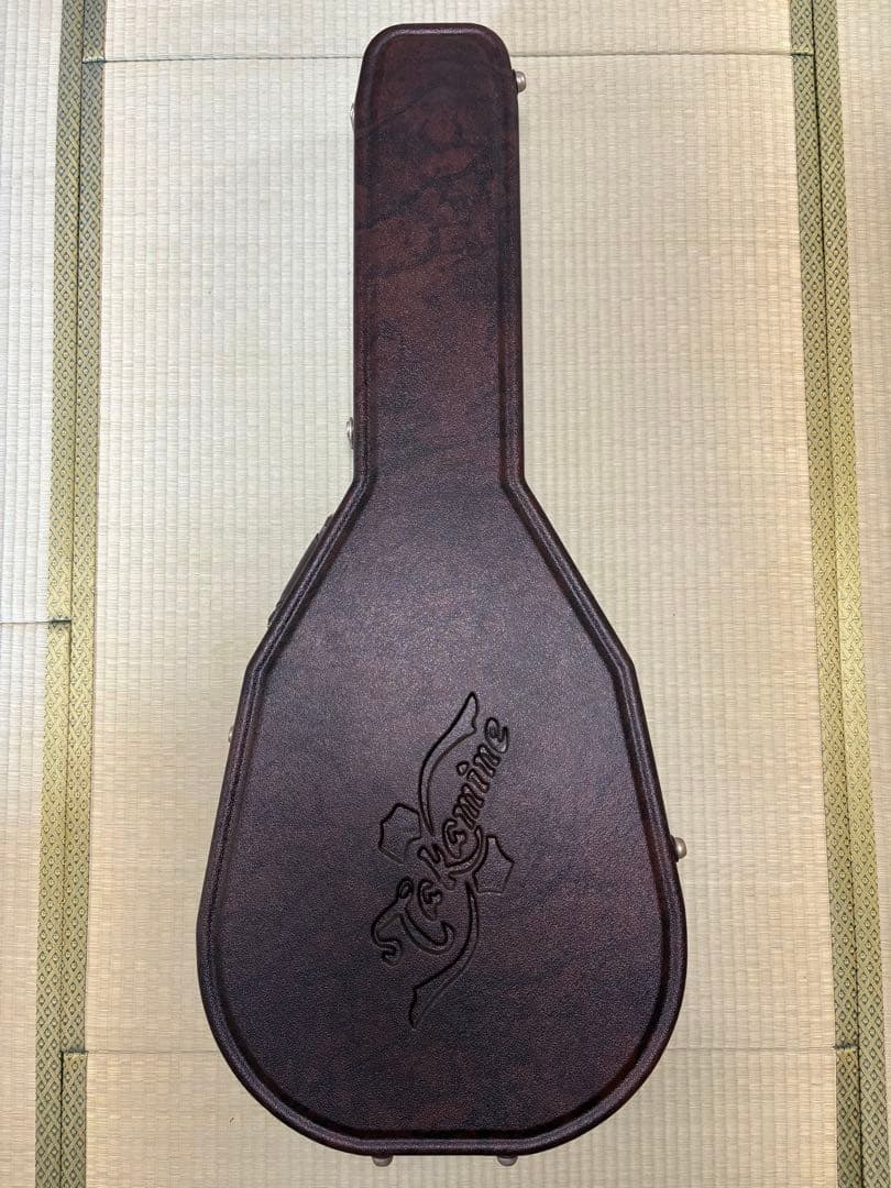 【美品】Takamine アコースティックギター サンバースト ハードケース付き